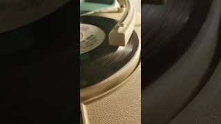 45.113/365 Monster Mash/Bobby