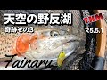 【天空の野反湖】R5.5.1解禁日の奇跡その③　ルアーフィッシングR5.5.1😀👍