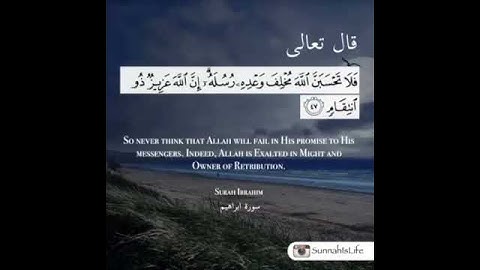 تلاوه من سورة ابراهيم للشيخ نبيل العوضي 💗