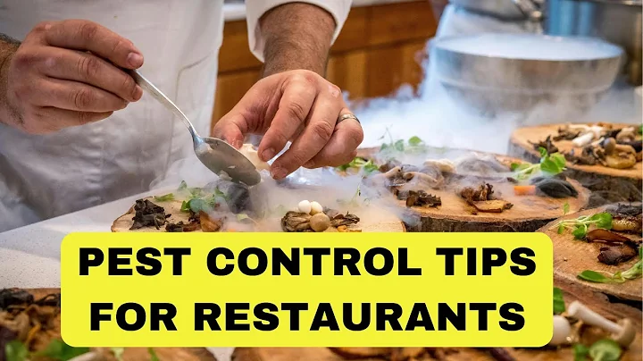 100% Effective Pest Control Strategies for Restaurants | Pest Control TIPS 2024.