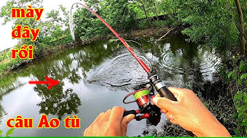 Đi săn cá lóc Hugo, bất ngờ đối mặt Hàng Khủng trong Ao hoang