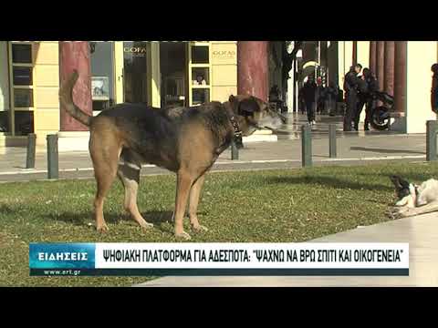 Πλατφόρμα υιοθεσίας αδέσποτων σκυλιών από τον Δήμο Θεσσαλονίκης (video)