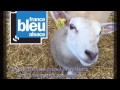 Entrevue rgis ruch sur france bleu alsace 29 mai 2017