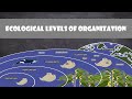 Levels of Ecological Organization and Interactions in Nature