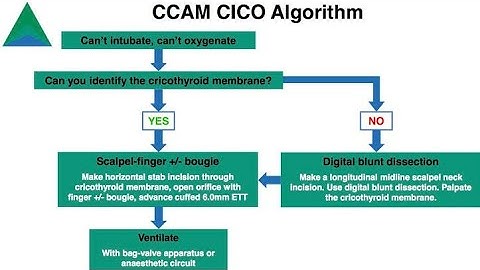 Cannot intubate, cannot oxygenate CICO scenarios; emergencies in airway management