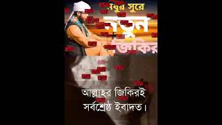 পাগলা জিকির | Islamic shorts | Islamic song | Islamic waz | Islamic video shorts youtubeshorts