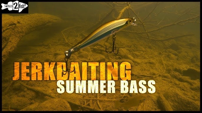 The All-New Provoke 106DD Suspending Jerkbait From 6th Sense Catches 30  Pounds 