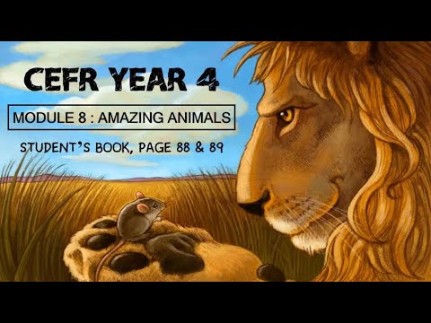 CEFR Year 4 | Module 8: Amazing Animals | Student's Book Page 88 and 89  (HD) - YouTube