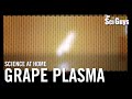 Grape Plasma Experiment Quiz