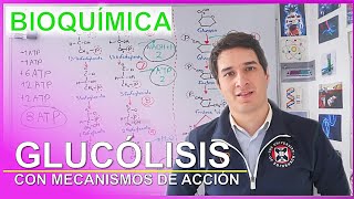 Glucólisis FÁCIL. Nivel Experto para Principiantes || Camach Learn
