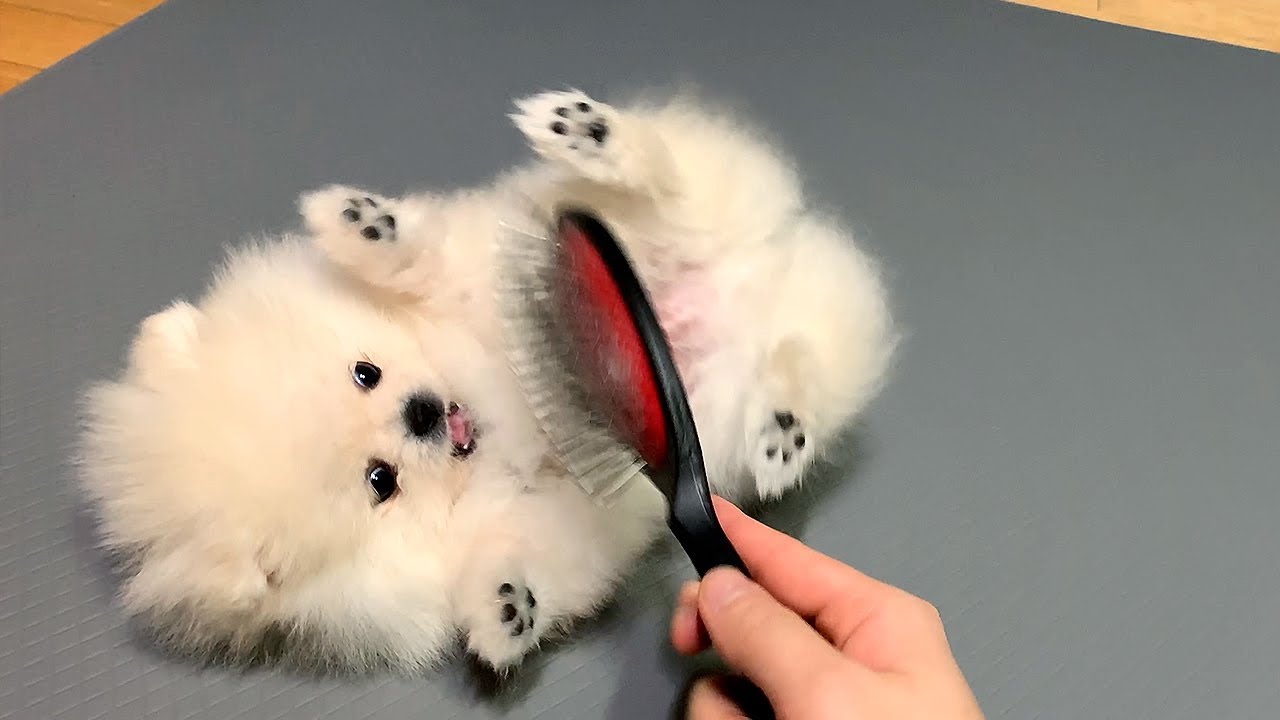 저 잘못한 게 없는데요?