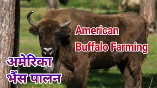 American Alaska Farmer lifestyle in Hindi