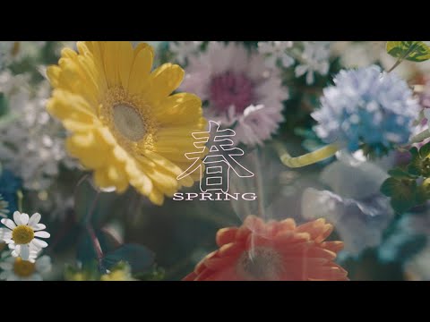 （夜と）SAMPO「春」Official Music Video