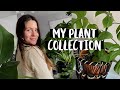 How I Decorate With Plants | My Houseplant Collection!