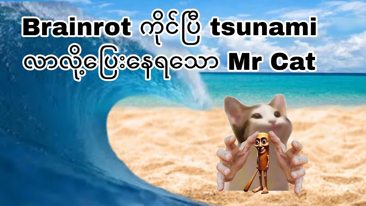 Mr Cat tsunami လာလို့ပြေးနေရပြီ / Escape tsunami for brainrot