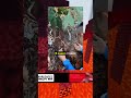 Книги через всю жизнь будущего
