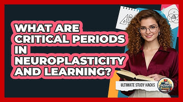 What Are Critical Periods In Neuroplasticity And Learning? - Ultimate Study Hacks