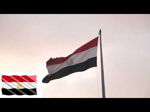 علم مصر يرفرف عاليا      