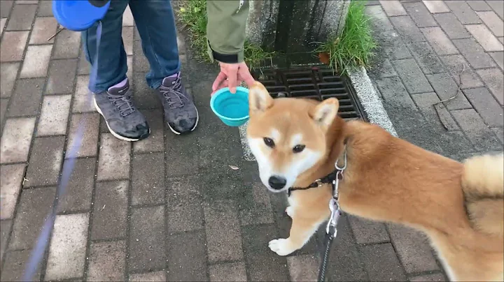 Ken Jr. Playing in the Park