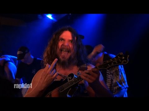 Hayseed Dixie 'Ace