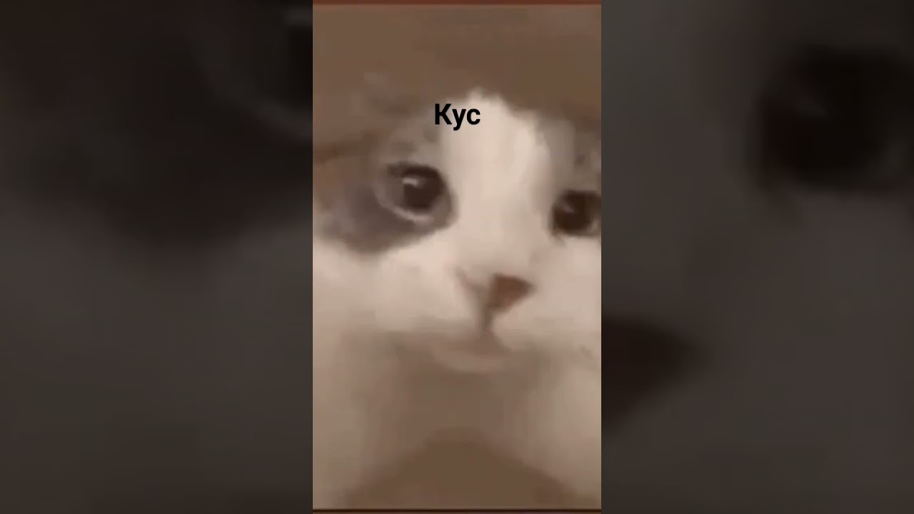 кусь вас за нос 