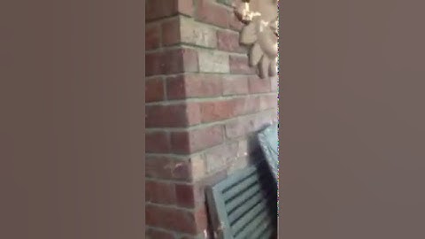 Amazing solar eclipse video