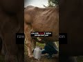 RAW MILK #health #science #helthbenefits #viral #viralvideo #viralshorts