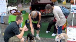 Zoom H4n and D7000 noise test at the  Farm Market.mp4