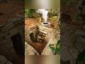 mid pyramid survival #forageharvest #survival #bushcraft