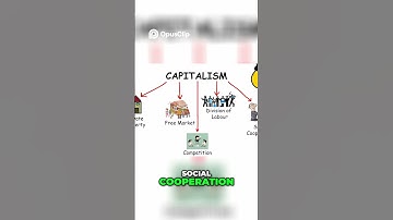 Understanding Political Ideologies: Conservatism, Liberalism, and More