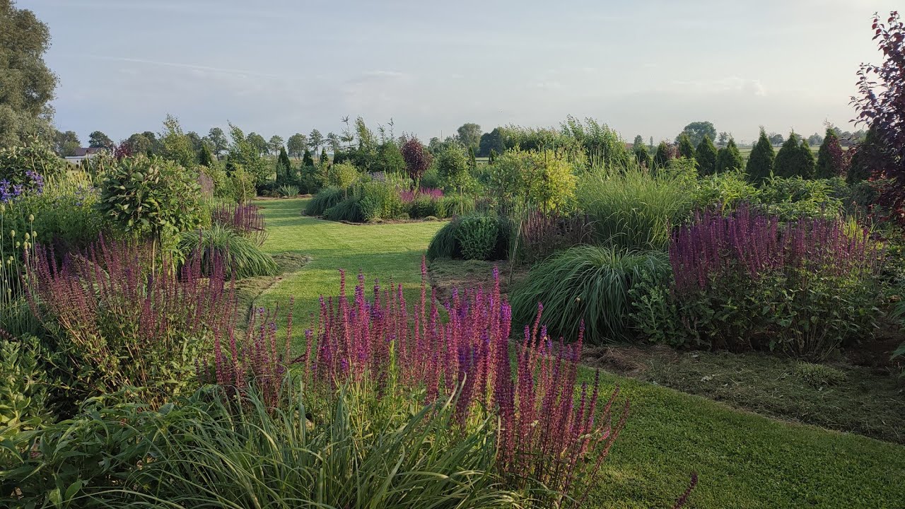 Ogród wieczorową porą ⛅ Zmiana dekoracji na rabatach✂️Plony z warzywnika🥬🥕🥒🫜🧅