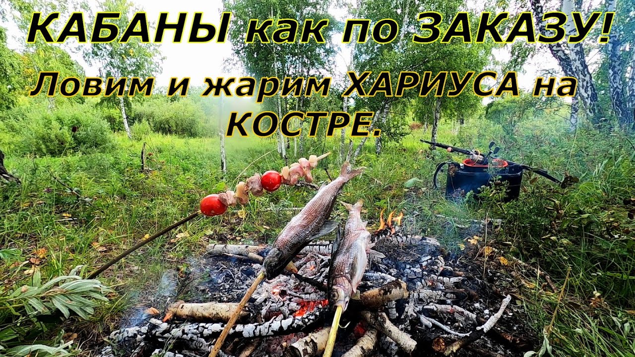 Ловлю и жарю ХАРИУСА на КОСТРЕ/ Обкатал НОВУЮ,Рыжую МУШКУ! - YouTube
