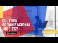 ¿QUÉ es la CULTURA ORGANIZACIONAL?  ▶ Tutorial ✅