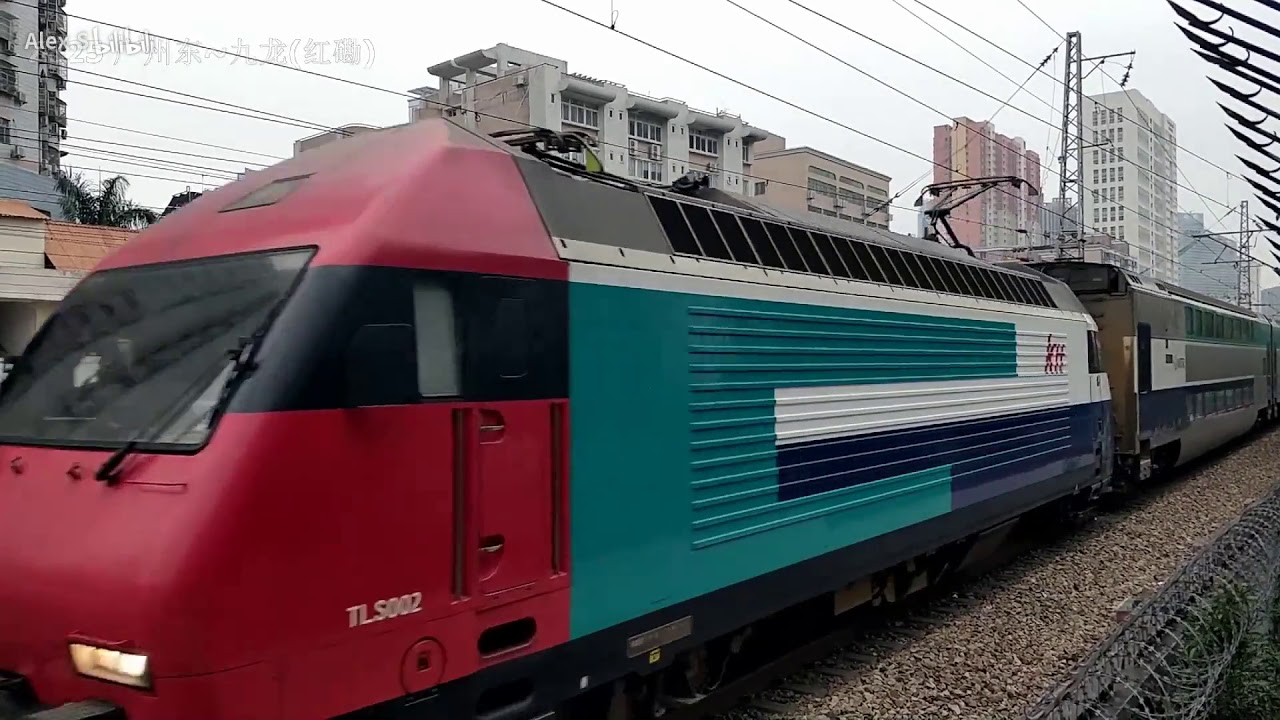 【铁路随拍(China Railway)】广九铁路的傍晚 HXD1C拉客盛宴 DF5D繁忙调车(建行广告25G闪现) HXD1D/HXD3C/HXD1C/DF5D/KTT/SS8