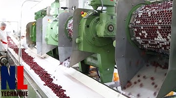 Modern Food Processing Technology with Cool Automatic Machines That Are At Another Level Part 21