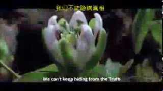 Maher Zain - Open Your Eyes ~ English & Chinese sub