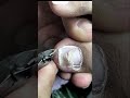 #pedicure #shorts