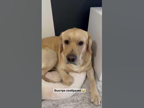 Око за око 😂 - YouTube