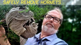 How to SAFELY remove HORNET NEST or WASP NEST using your TRUCK or CAR