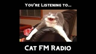 Cat FM Radio | Broadcast One