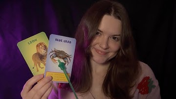 ASMR Follow My Instructions 🌙 🐯 (Try to Keep Your Eyes Open!)