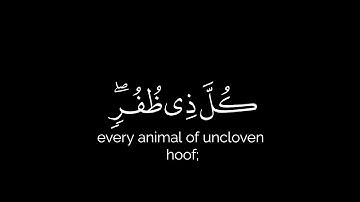 وَعَلَى الَّذِينَ هَادُوا حَرَّمْنَا ] كروما شاشة سوداء قرآن | سورة الأنعام | الشيخ ياسر الدوسري