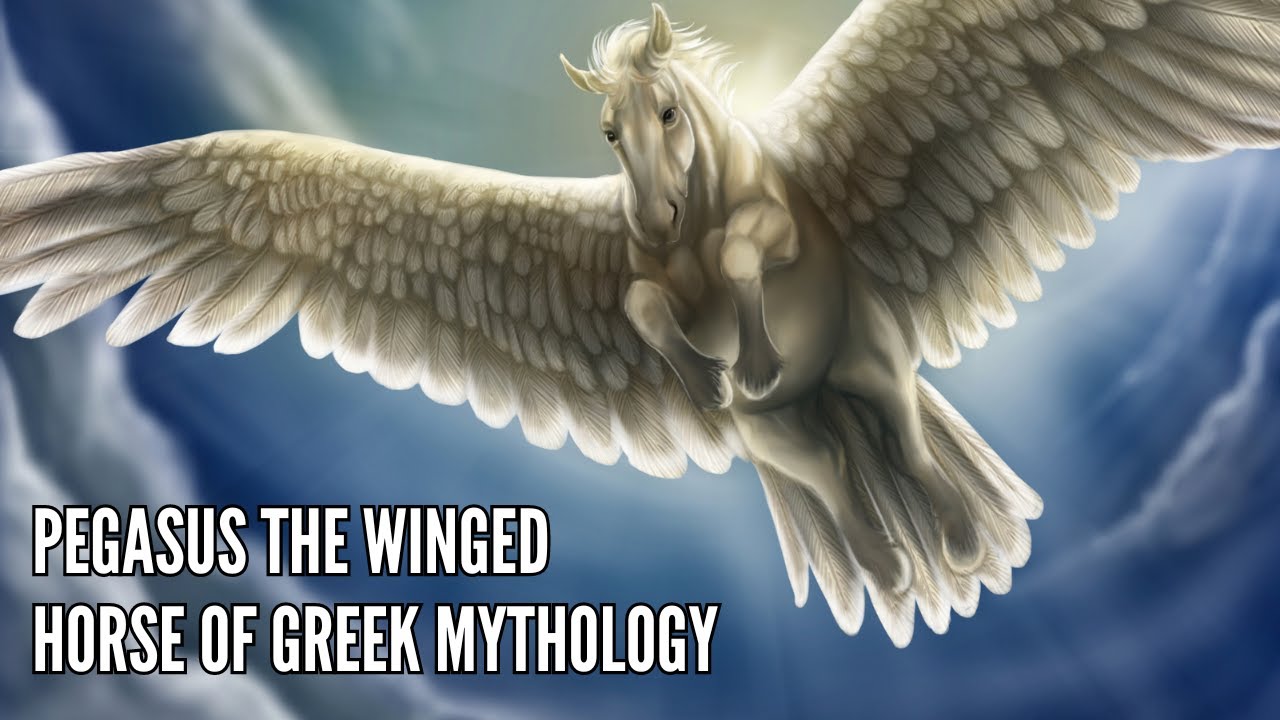 Pegasus The Winged Horse of Greek Mythology - YouTube