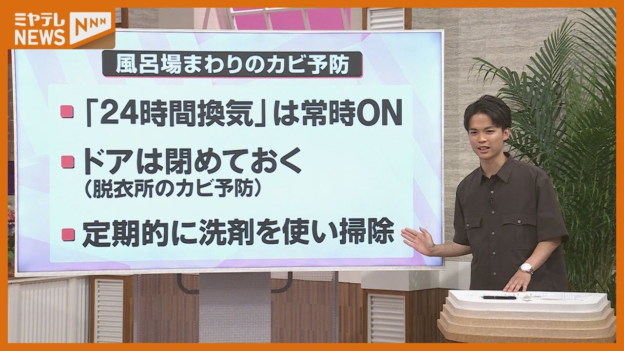 【梅雨を快適に過ごしたい】カビ対策、部屋干しのコツ