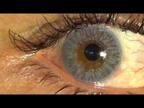 freshlook colors blue youtube