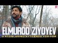 Elmurod Ziyoyev - O'rtoqlaring aytganda yor-yor