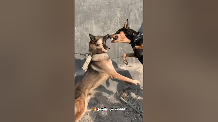 انتضرو الفيديو قريبًا :حماس وصراعات قوية 🔥