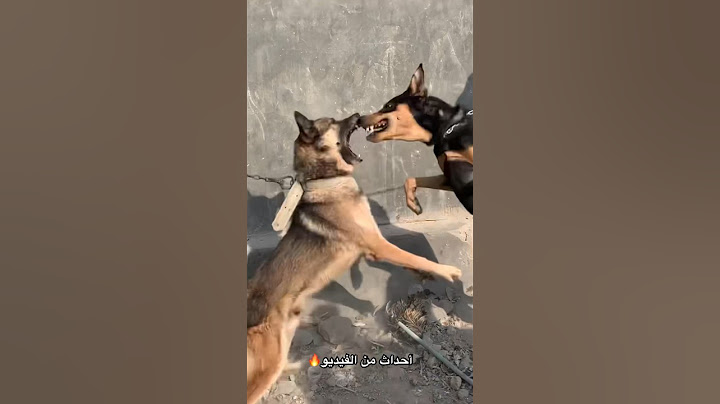 انتضرو الفيديو قريبًا :حماس وصراعات قوية 🔥