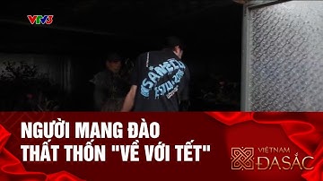 NGƯỜI MANG ĐÀO THẤT THỐN "VỀ VỚI TẾT"|  VIỆT NAM ĐA SẮC