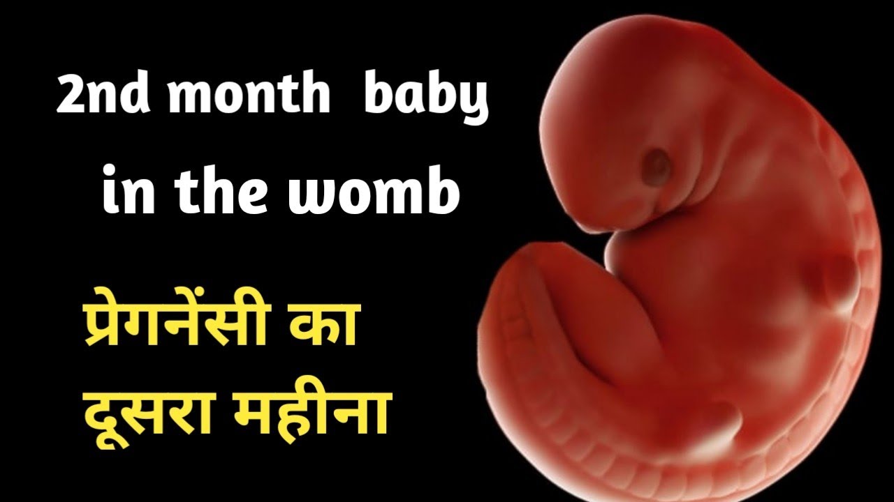 variable presentation in pregnancy in hindi